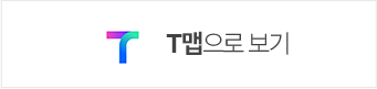 T맵