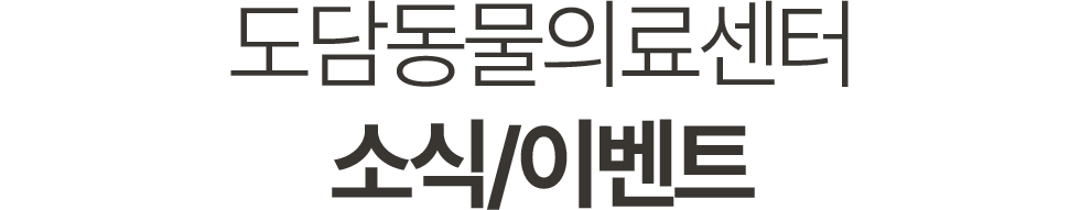 도담동물의료센터 소식/이벤트