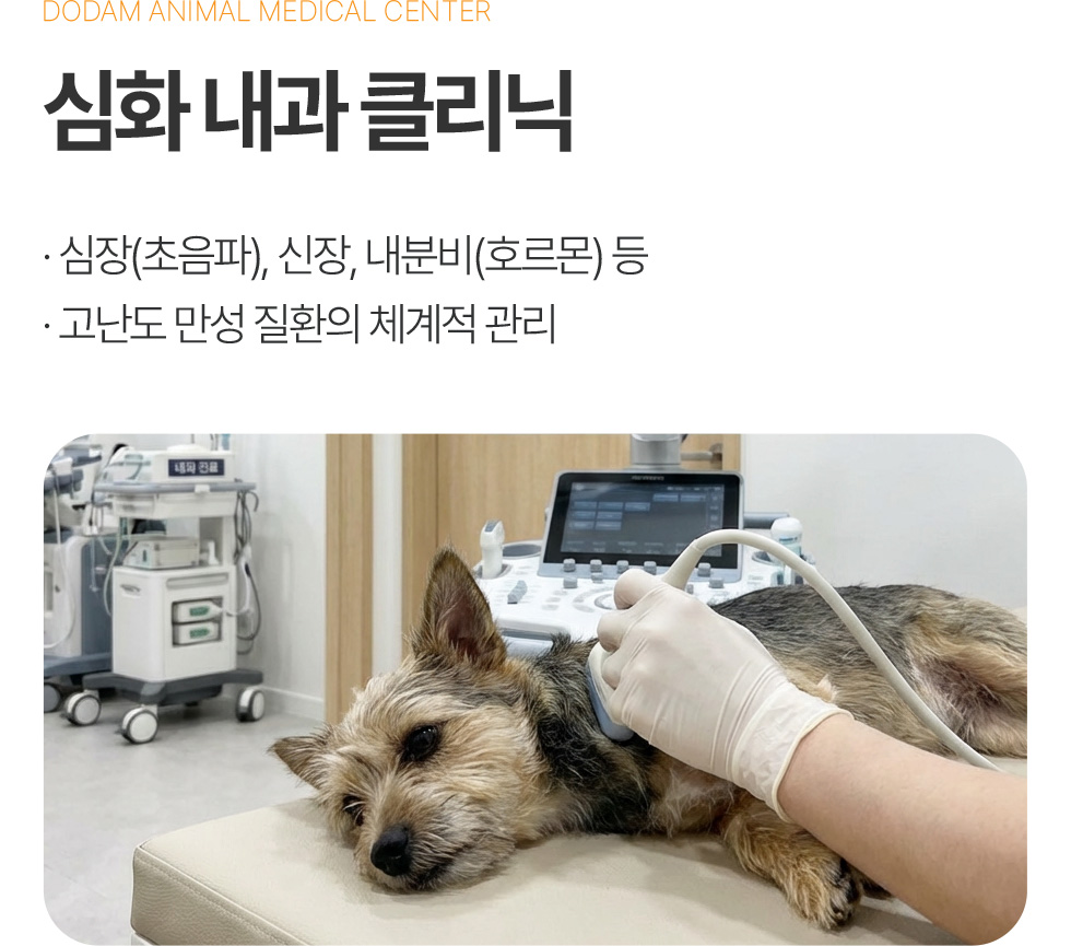 심화 내과 클리닉