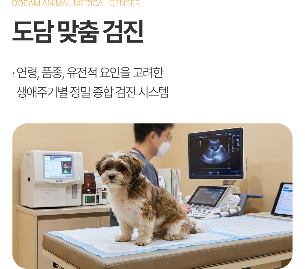 도담 맞춤 검진