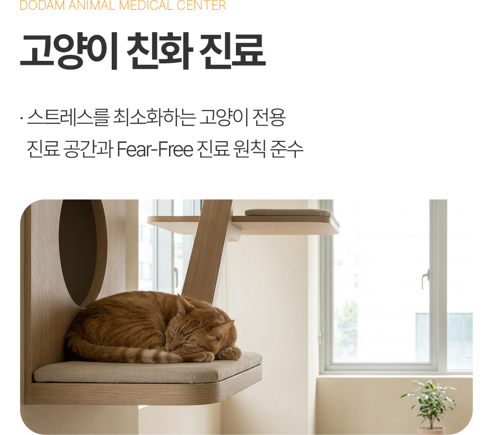 고양이 친화 진료