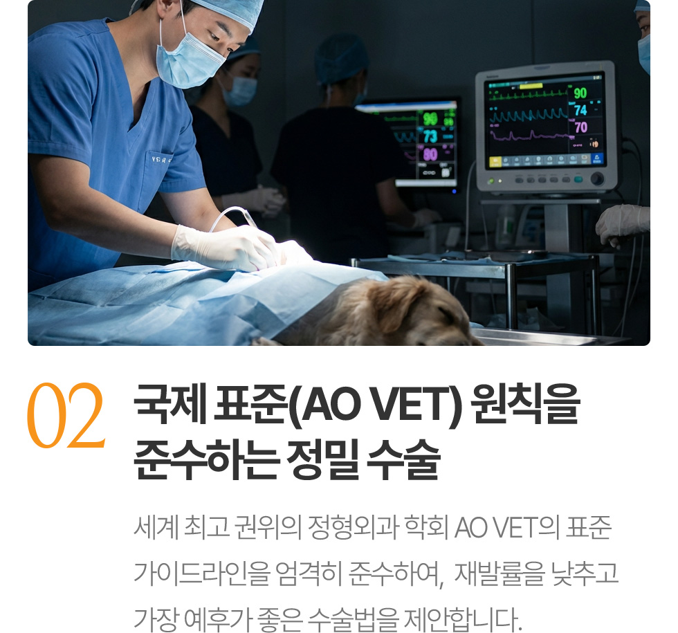 국제 표준(AO VET) 원칙