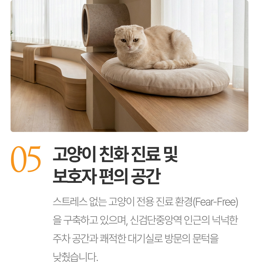 고양이 친화 진료
