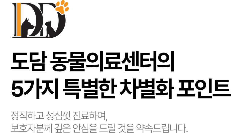 디지털에 실력을 더하다