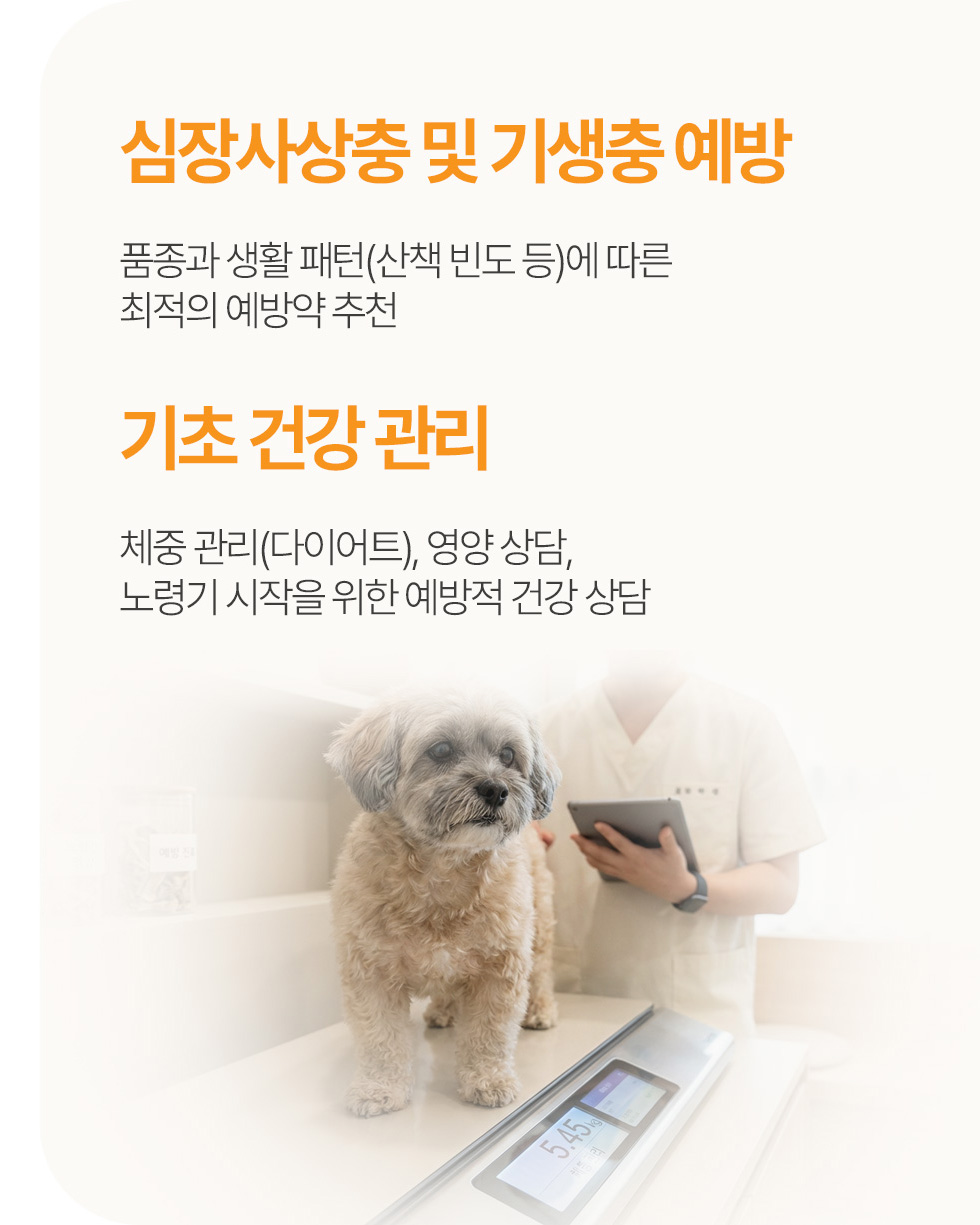 예방 의료 및 건강 관리