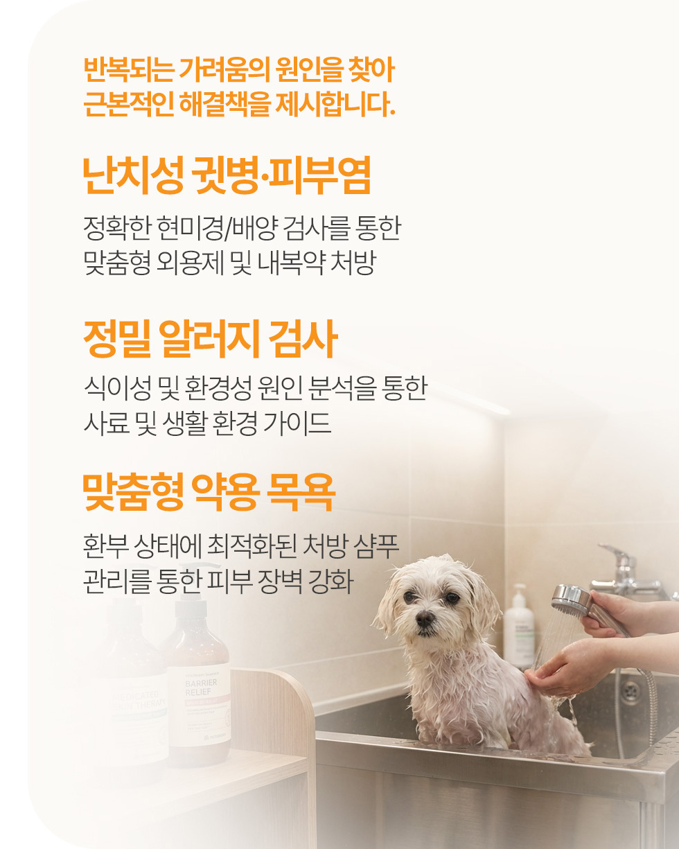 피부·알러지 클리닉