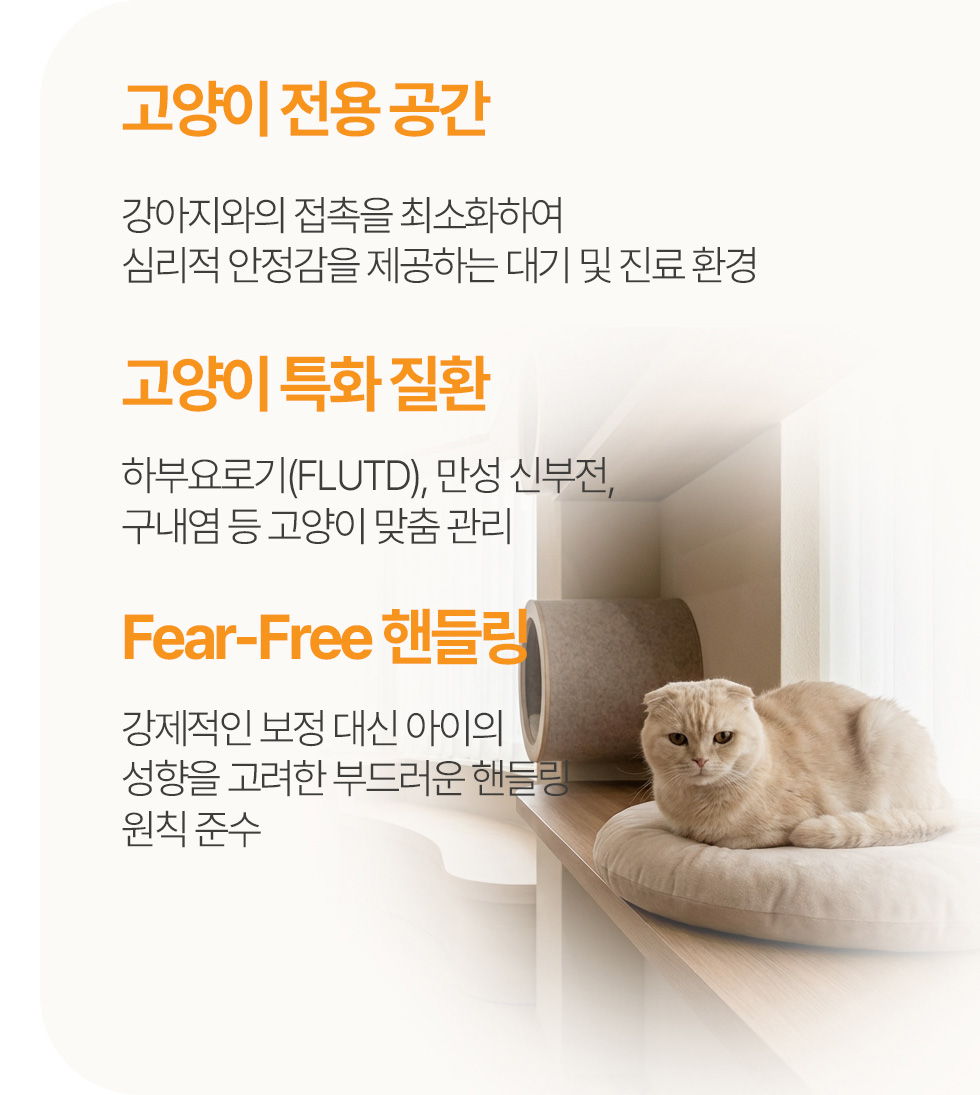 고양이 친화 진료