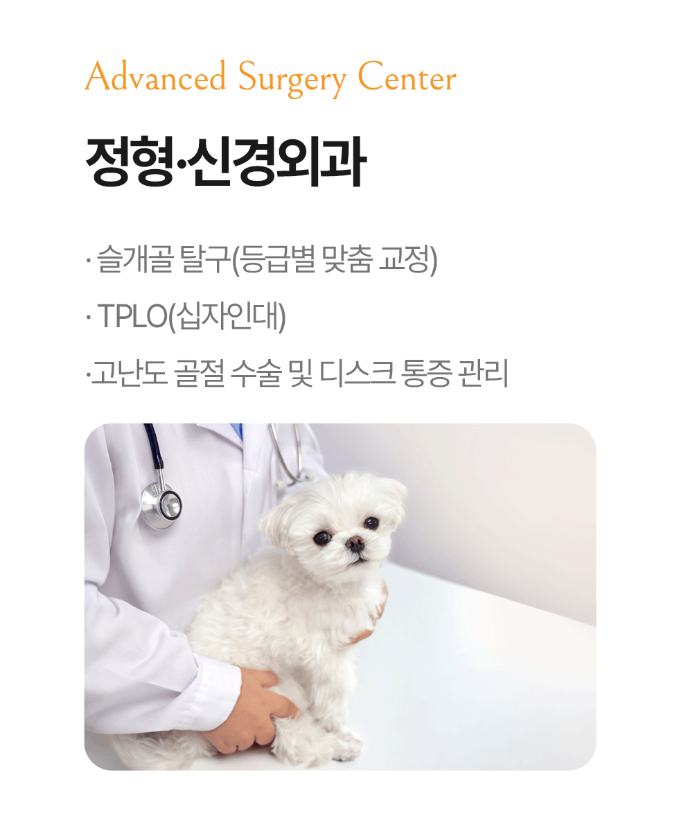 정형·신경외과