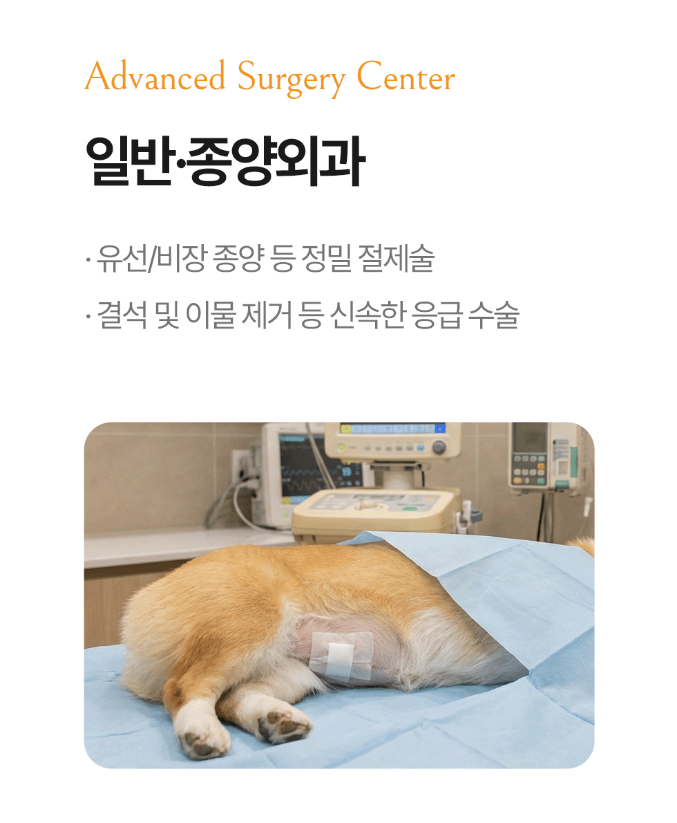 일반·종양외과