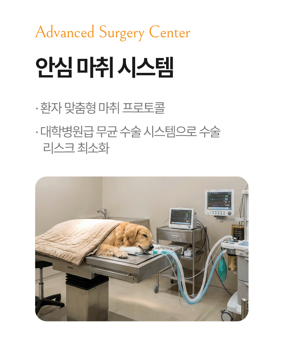 안심 마취 시스템