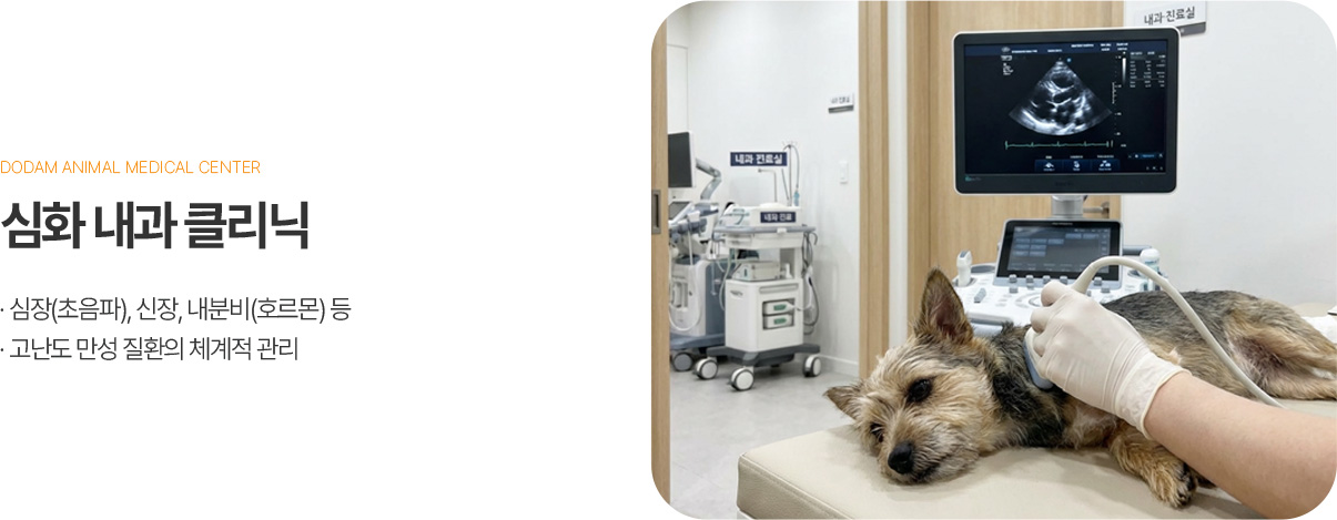 심화 내과 클리닉