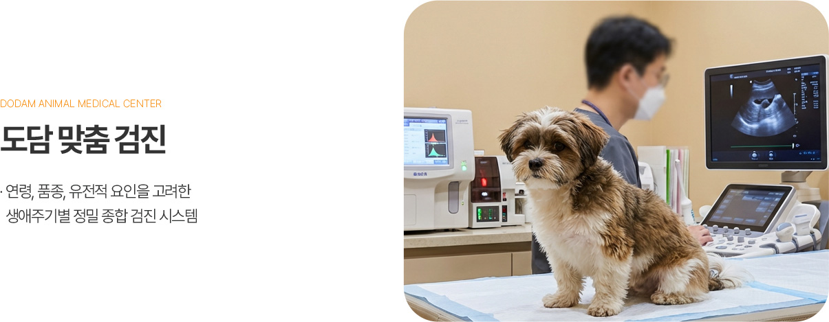 도담 맞춤 검진