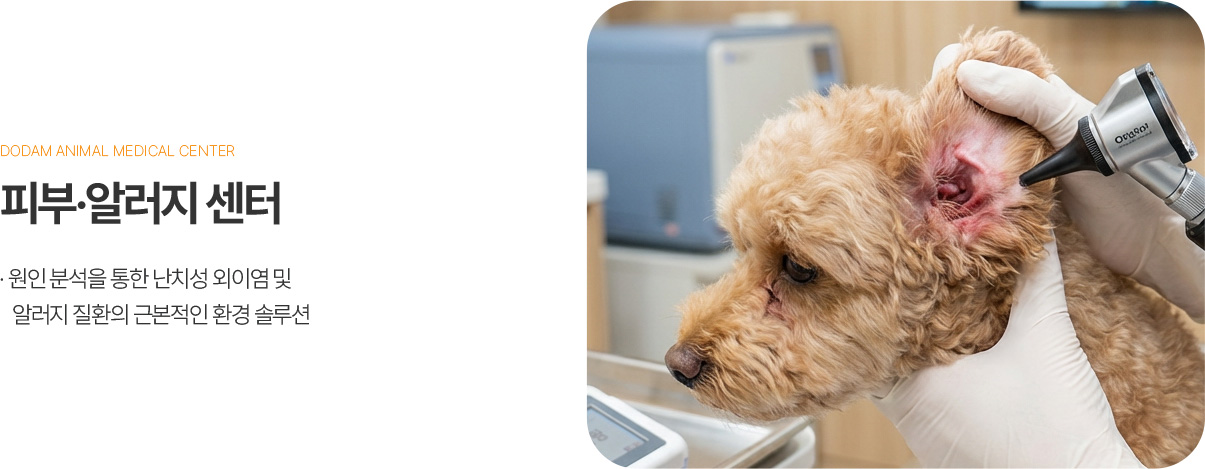 피부·알러지 센터