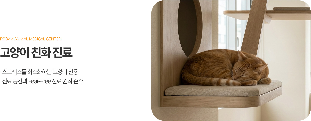 고양이 친화 진료