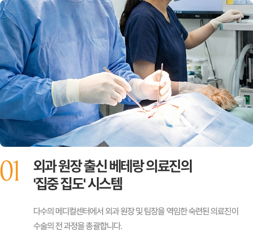 외과 원장 출신