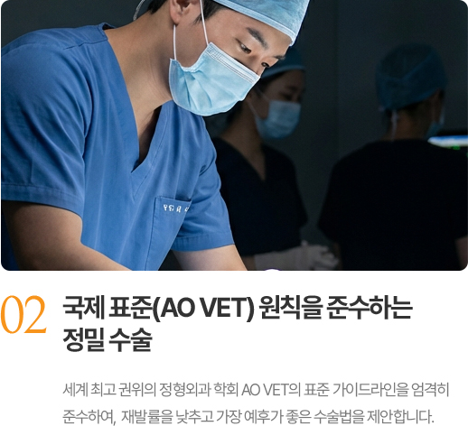 국제 표준(AO VET) 원칙