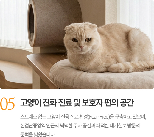 고양이 친화 진료