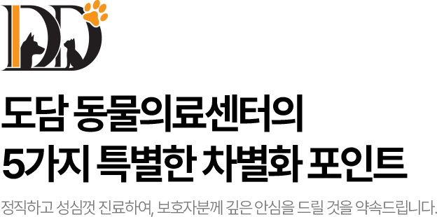 디지털에 실력을 더하다