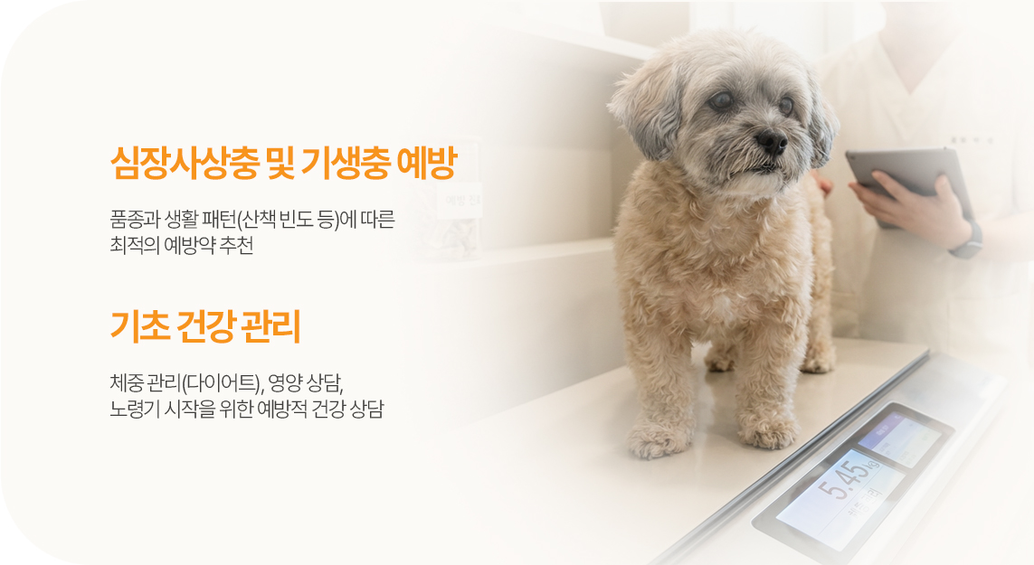 예방 의료 및 건강 관리