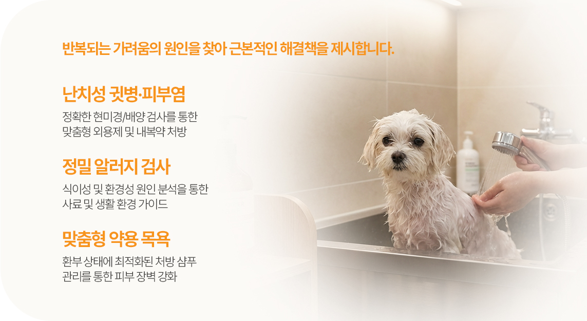 피부·알러지 클리닉