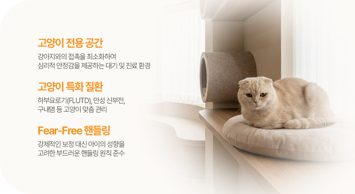 고양이 친화 진료