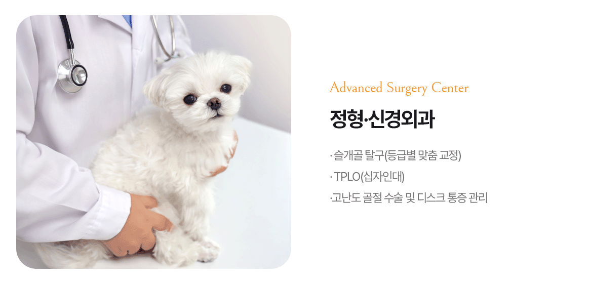 정형·신경외과