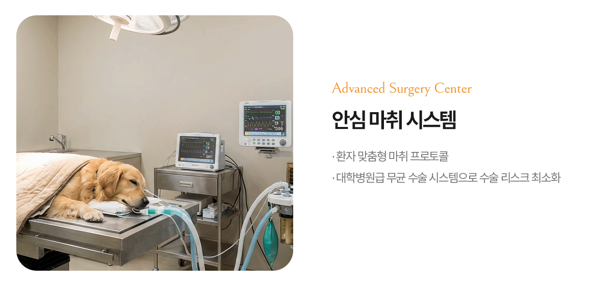 안심 마취 시스템